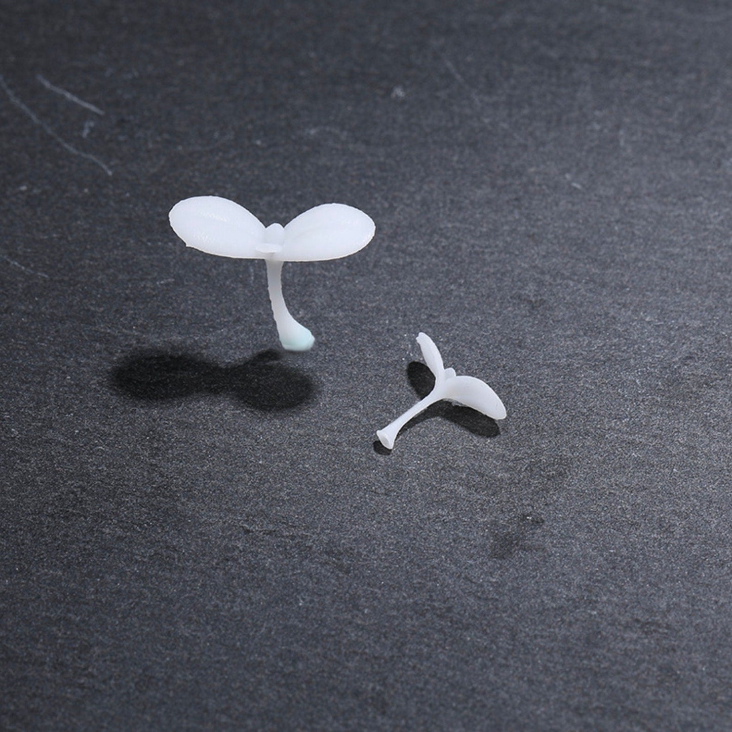 3D Printed Sprout, Nature Themed Model (Small/Large)