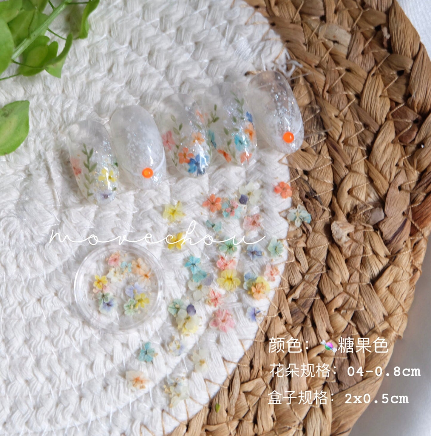 Cute Pastel Colored Dainty Dried Flowers for Nail Art, Crafting