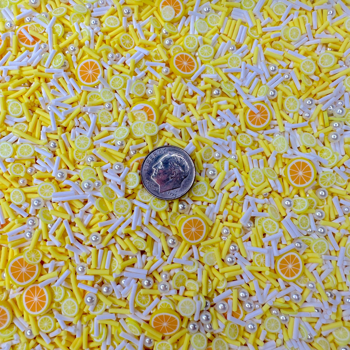 FAKE Lemon Citrus Fruit Polymer Clay Sprinkle Mix (NOT EDIBLE) D37-08