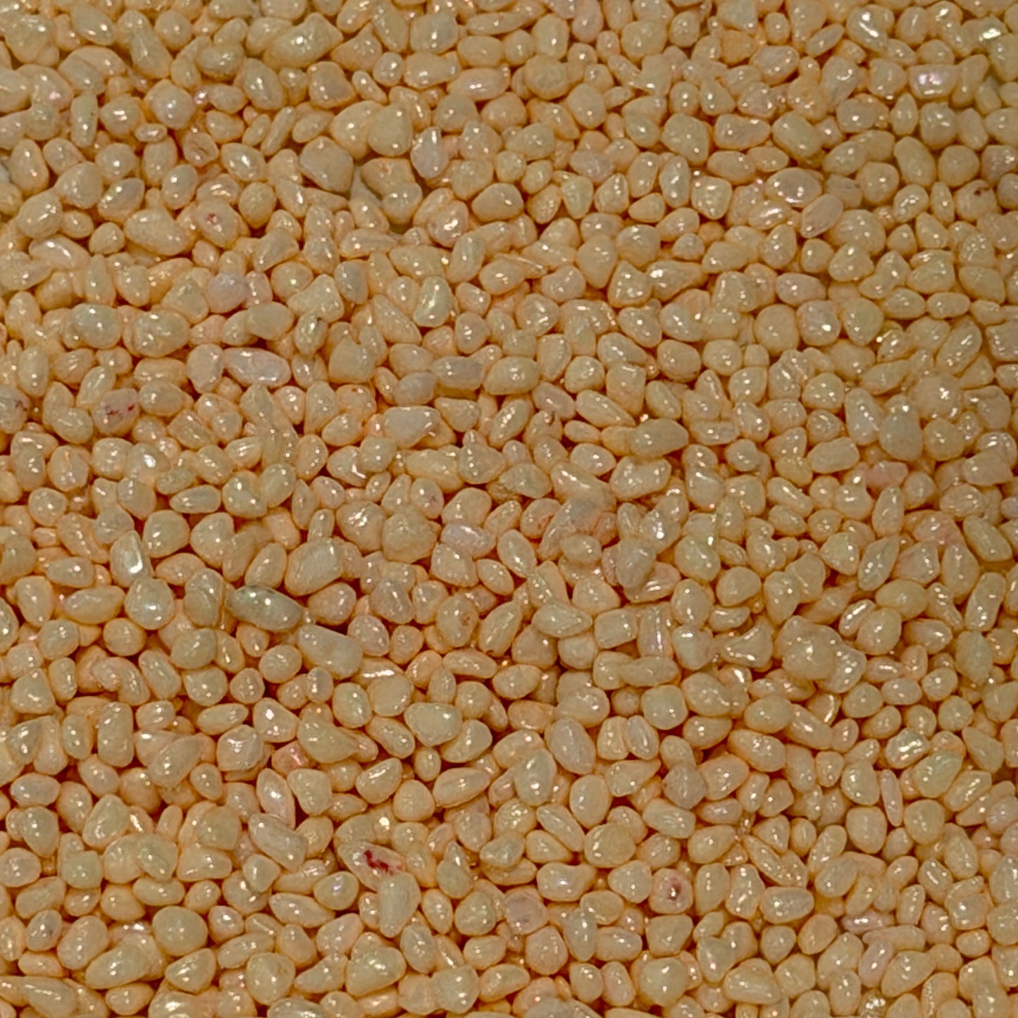 2MM-4MM Pearly Light Orange Pebble (NOT EDIBLE) D49-01