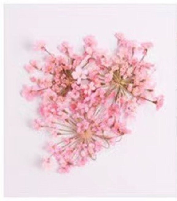 Cute Dainty Dried Flowers for Nail Art, Crafting