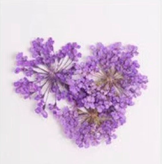 Cute Dainty Dried Flowers for Nail Art, Crafting