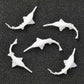 1PC 3D Printed Resin Shark Animal Model (18x11x3.5mm)