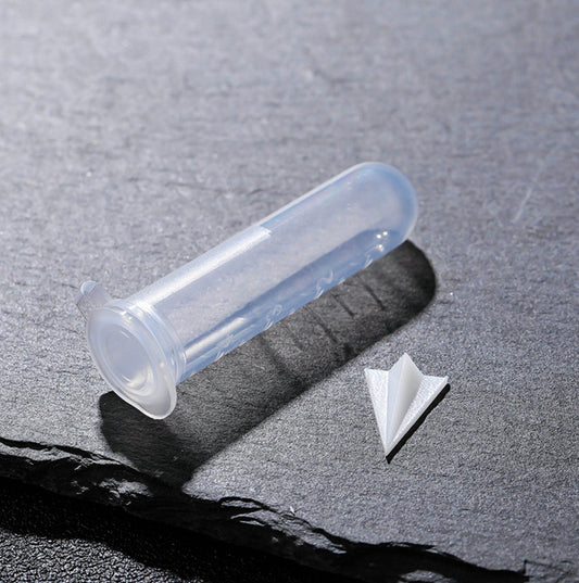 3D Printed Paper Airplane Model (Small/Large)