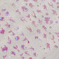 Shattered Glass Rhinestone Mermaid Themed Nail Art Sticker (to3235,to3236)