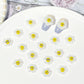 11MM x 11MM Sunny Side Up Egg w/Funny Facial Expression, Nail Art Charms