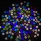 8MM Mixed Glow-in-Dark Glitter Roses, Floral Themed 3D Nail Art Charms