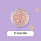 Tiny 3MM Resin Sakura Flower Nail Art Charms, Decoden, Mini Cabochon
