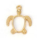 Gold Turtle Open Back Bezel Frame