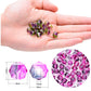 8MM Blue Purple Multi-Sided Two Tone Color Beads