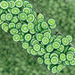 FAKE 5MM Lime Fruit Slices Polymer Clay Sprinkle (NOT EDIBLE) D22-12