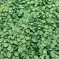 FAKE 5MM Lime Fruit Slices Polymer Clay Sprinkle (NOT EDIBLE) D22-12