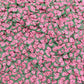 FAKE 5MM Pink Watermelon Fruit Slice Polymer Clay Sprinkles (NOT EDIBLE) D22-18