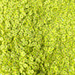 FAKE 5MM/10MM Kawaii Green Frog,Animal Polymer Clay Sprinkle (NOT EDIBLE) D47-14