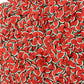 FAKE 5MM/10MM Watermelon Fruit Polymer Clay Sprinkle (NOT EDIBLE) D22-09