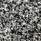 Black and White Checkerboard Polymer Clay Sprinkle (NOT EDIBLE) D35-27