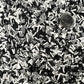 Black and White Checkerboard Polymer Clay Sprinkle (NOT EDIBLE) D35-27