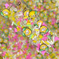 FAKE Corn Themed, Food Polymer Clay Sprinkle Mix (NOT EDIBLE) D10-15