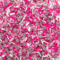 FAKE Dragonfruit Faux Ice, Fruit Polymer Clay Sprinkle Mix (NOT EDIBLE) D10-23