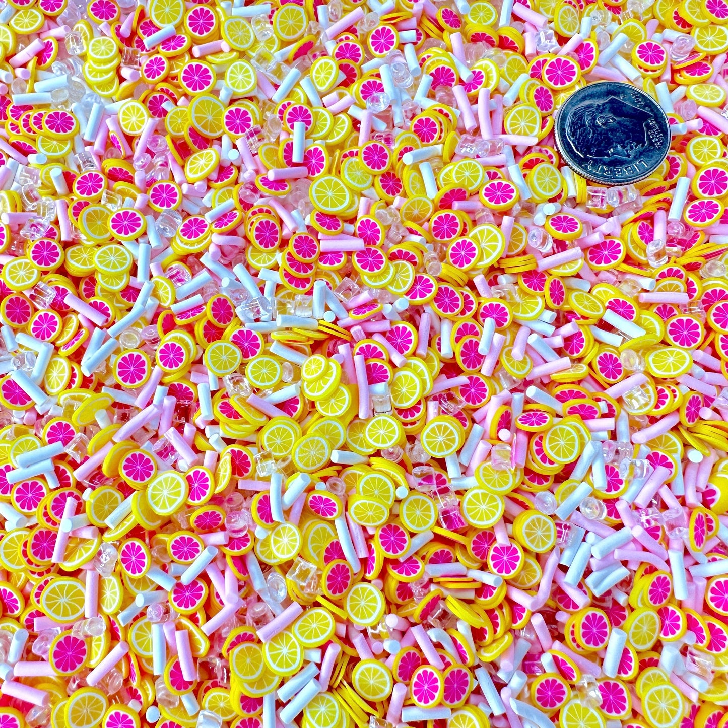 FAKE Lemon Grapefruit Citrus Theme Polymer Clay Sprinkle Mix (NOT EDIBLE) D13-09
