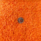 FAKE Orange Daisy Flower Outline,Floral Polymer Clay Sprinkle (NOT EDIBLE)D38-11