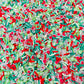 Watermelon Kiwi Fruit Mix Polymer Clay Sprinkle (NOT EDIBLE) D37-14