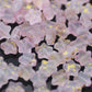 8.5MM Matte Light Pink Gold Specks Glass Star Beads (AB10)