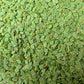 5MM/10MM Green Planet Polymer Clay Sprinkle Pieces (NOT EDIBLE) D14-19