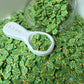 5MM/10MM Green Planet Polymer Clay Sprinkle Pieces (NOT EDIBLE) D14-19