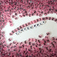 Translucent LIGHT PINK, Black Letter A-Z Alphabet Individual Beads (7MM)