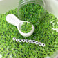Translucent GREEN, Black Letter A-Z Alphabet Individual Beads (7MM)