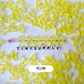 Chunky 15MM Iridescent Butterfly Beads