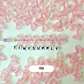 Chunky 15MM Iridescent Butterfly Beads