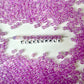6MM/8MM AB Lilac Acrylic Iridescent Beads