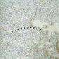 6MM/8MM AB Clear Transparent Iridescent Acrylic Beads