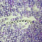 6MM Light Purple Colored Glass Heart Beads B01
