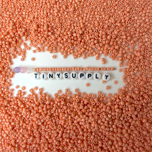 3MM Light Salmon 8/0 Glass Seed Beads (S036-17) D41-15