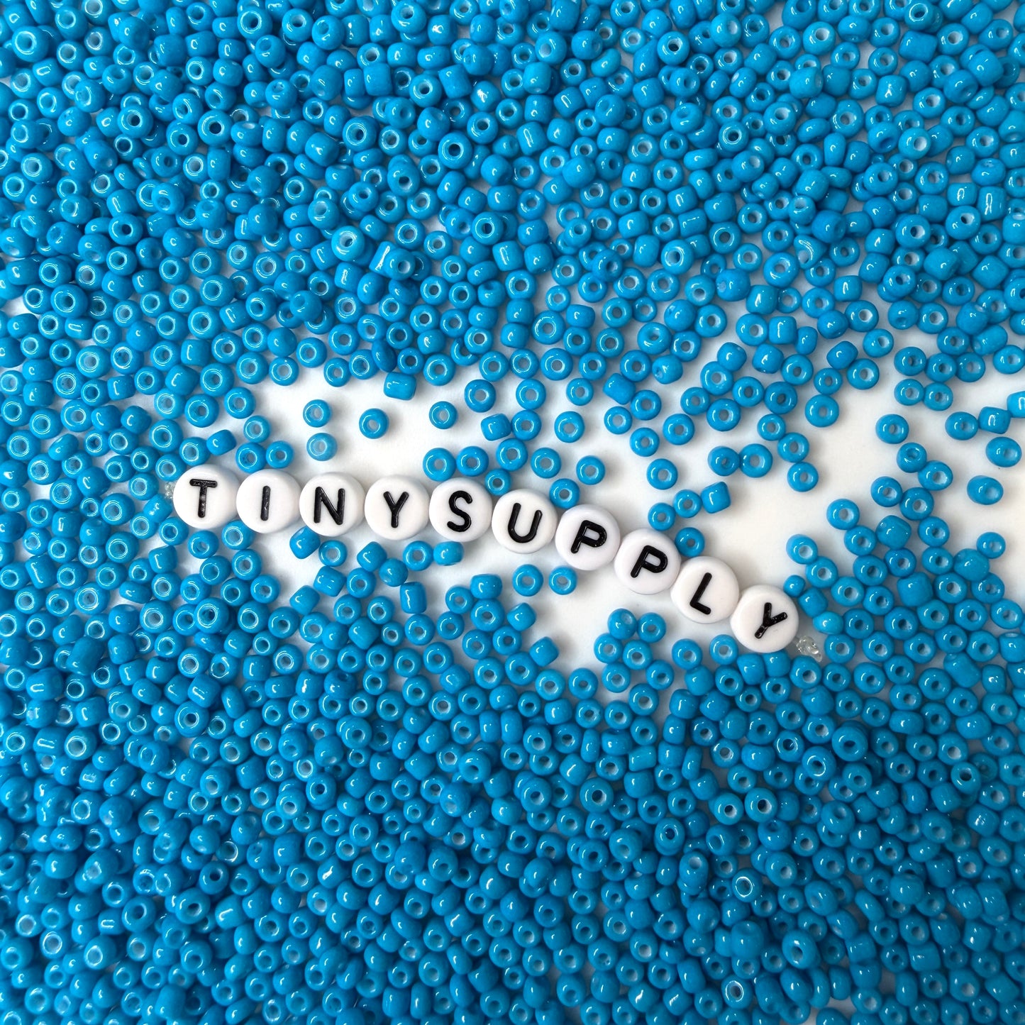 3MM Dodger Blue 8/0 Glass Seed Beads (S036-11) D41-25