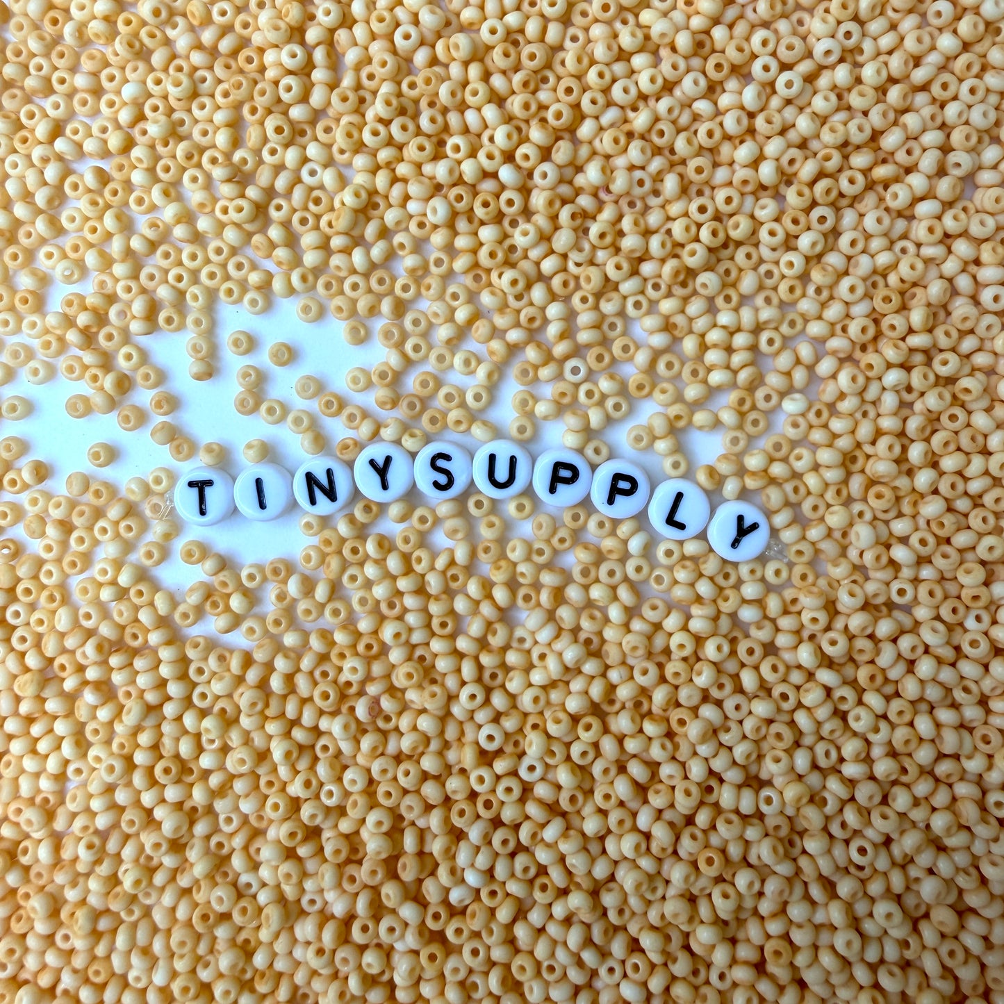 3MM Frosted Pastel Orange 8/0 Glass Seed Beads (S048-018) D41-29