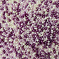 Mixed No Hole Purple Pearls (2.5mm-5mm; NOT EDIBLE) D12-03