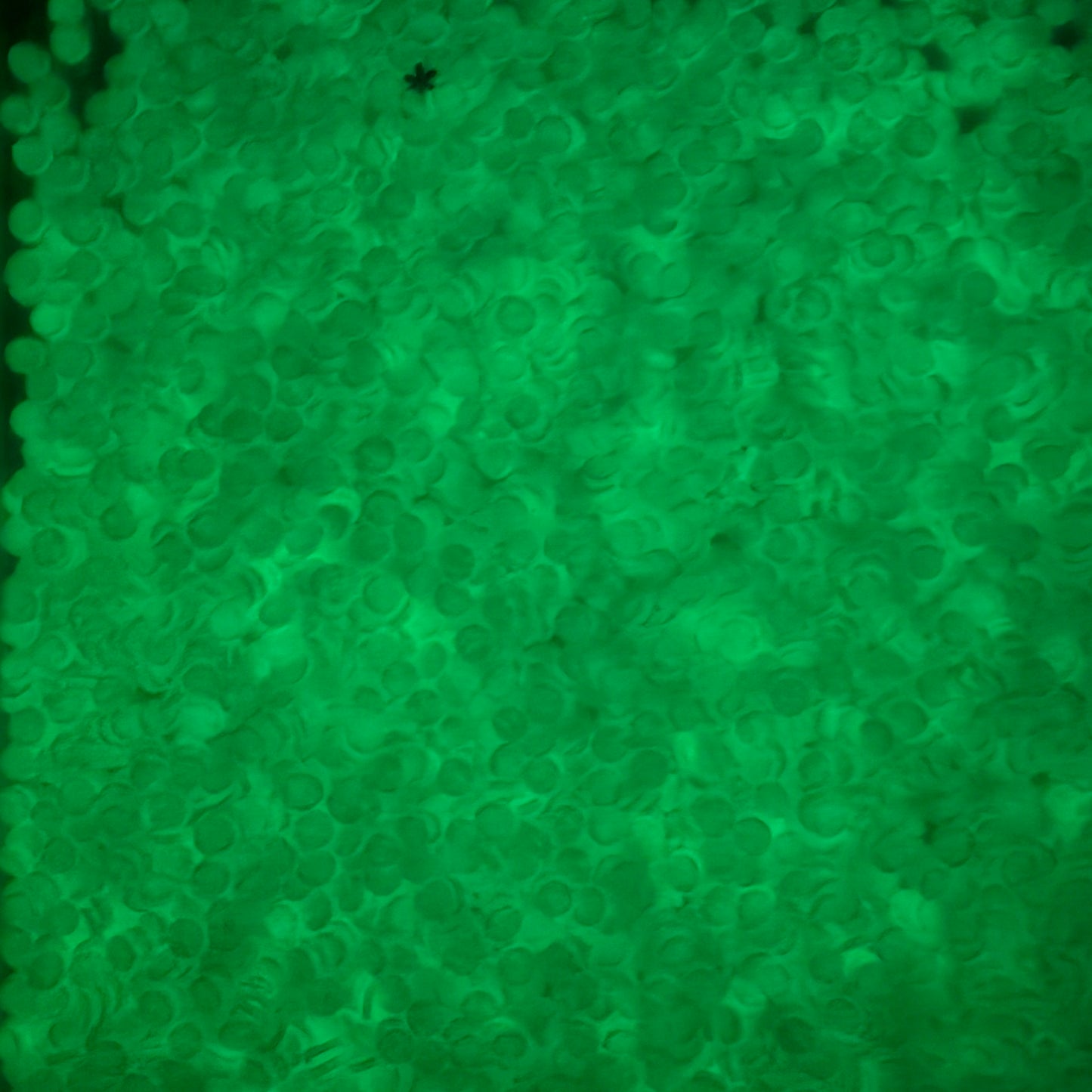 5MM Glow-in-Dark Circle Polymer Clay Sprinkle (NOT EDIBLE) D18-10