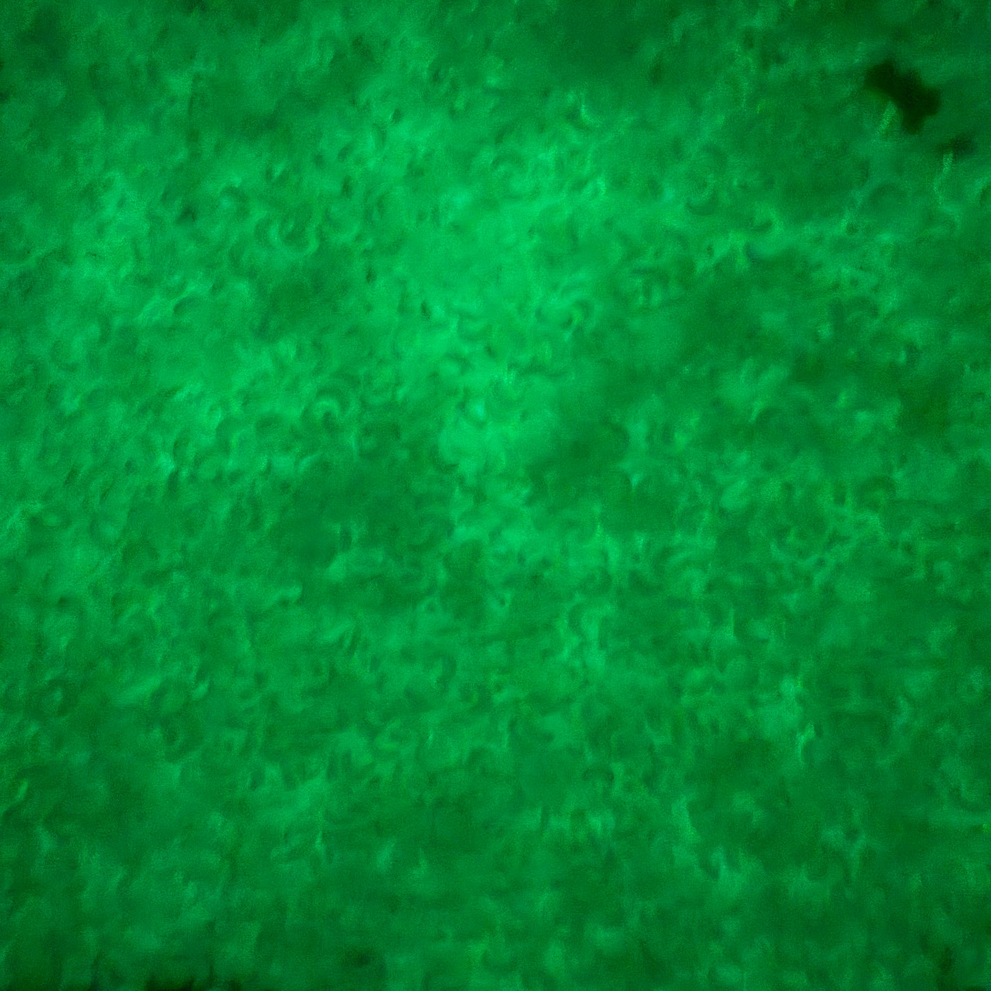 5MM/10MM Glow-in-Dark Moon Polymer Clay Sprinkle (NOT EDIBLE) D18-19/28