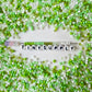 3MM Green Mixer 8/0 Glass Seed Beads D54-13