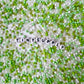 3MM Green Mixer 8/0 Glass Seed Beads D54-13