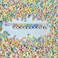 3MM Mute Rainbow Mix 8/0 Glass Seed Beads (D54-06)