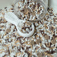 Choco Chip Madness Polymer Clay Sprinkle Mix (NOT EDIBLE) D58-19