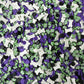 Franken Bone Party Polymer Clay Sprinkle Mix (NOT EDIBLE) D58-04