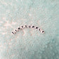 4MM Frosted Pale Turquoise Seed Beads (T007-12G)