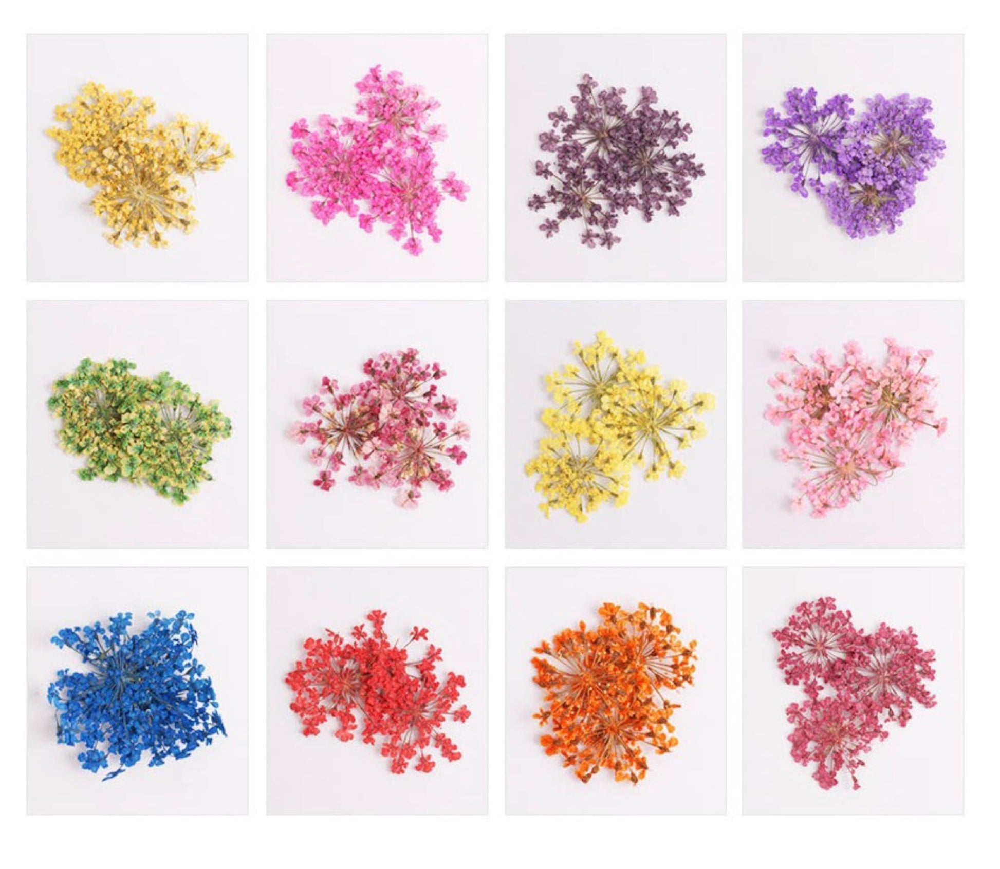 Cute Dainty Dried Flowers for Nail Art, Crafting