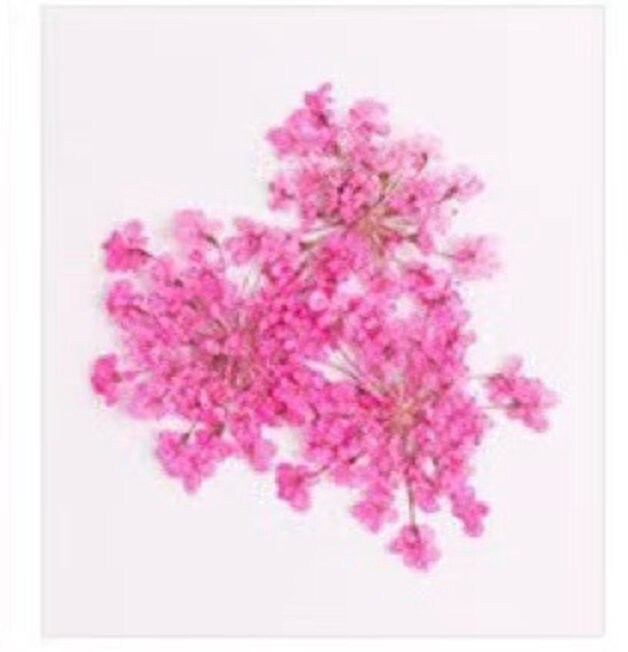 Cute Dainty Dried Flowers for Nail Art, Crafting